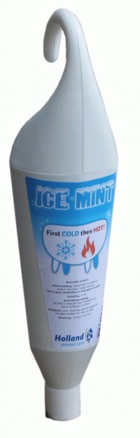 ICE MINT - Both sizes are back in stock